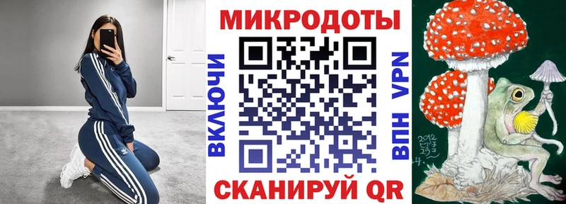 купить   Чёрмоз  Псилоцибиновые грибы Psilocybe 